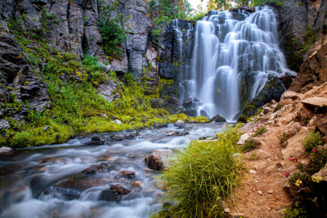 Kings Creek Falls Horizontal landscape photograph of Kings Creek Falls in Lassen Volcanic National Park, captured on a peaceful late summer afternoon. The 40-foot cascade spills gracefully over tiered volcanic rock into a clear, flowing stream surrounded by vibrant moss, wildflowers, and rugged canyon walls. The long exposure technique softens the water into silky ribbons of white, contrasting beautifully with the earthy tones and lush greenery. This fine art image showcases the timeless beauty of one of Lassen’s most beloved waterfalls—an area later scarred by the 2021 Dixie Fire but remembered here in its untouched glory. Perfect for nature enthusiasts, hikers, and collectors of Northern California waterfall photography.