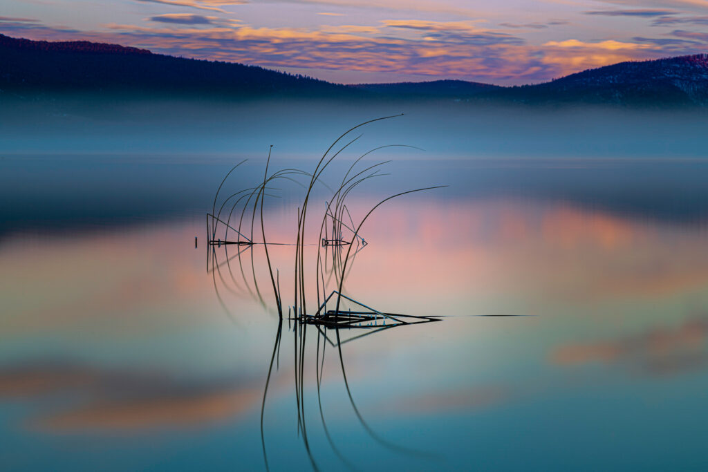Tranquil blue hour photograph of a small cluster of tules emerging from the still waters of Eagle Lake in Lassen County, Northern California. Captured on a frigid winter morning, the delicate reeds cast graceful reflections across the glassy surface, their lower stems adorned with tiny icicles glinting in the soft dawn light. A thin veil of fog drifts above the lake, blurring the line between water and sky while distant hills fade into soft lavender hues. This minimalist scene captures the quiet elegance of nature’s simplicity — a fleeting moment of peace, stillness, and icy beauty at Eagle Lake.