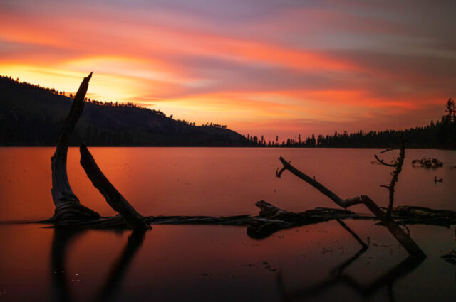 Serene summer sunset over Blue Lake, located in the Modoc National Forest along the Lassen–Modoc County line in Northern California. Captured in late August 2020 as the Cold Springs Fire began to the south, the faint haze of wildfire smoke likely deepened the warm magentas and fiery oranges streaking across the sky. Silhouetted pines trace the distant ridgeline, while the still lake mirrors the glowing color gradient, broken only by the elegant curve of driftwood in the foreground. This tranquil yet moody landscape captures the fragile balance between beauty and the harsh realities of the fire season in the Northern California highlands.
