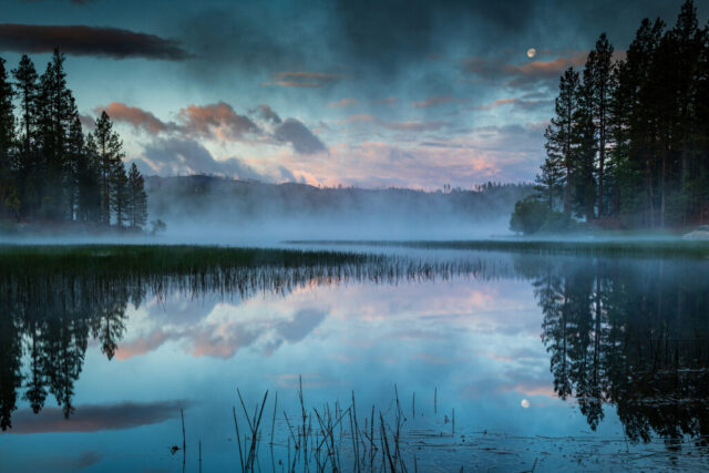 Dreamlike blue-hour scene at Antelope Lake in Plumas County, California, captured as mist rises from the warm water after an early June storm. The setting Strawberry Moon glows above layers of dramatic clouds and calm reflections, framed by tall pine silhouettes and soft meadow grasses. The photograph blends serenity and power, revealing the atmospheric beauty created by cold air meeting the lake’s surface warmth. This award-winning landscape image from 2020 embodies the peaceful allure of the Sierra Nevada wilderness and the tranquil magic of dawn over Northern California’s mountain lakes.