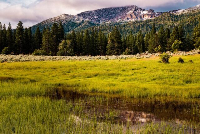 Thompson Peak near Janesville, California, USA. This image is shot across a small pond in a meadow in near Elysian Valley, reflecting the mountain in early morning light after an early June storm dusted the mountain with a bit of snow overnight. While obscured in clouds in this image, there is an active US Forest Service fire lookout atop the ridge and visitors to it can be treated with amazing views of the entire Honey Lake Valley. The location from which I shot this image is no more than a mile from my home. I'm truly blessed to live in such a scenic location!