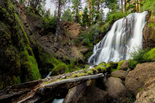 Mill Creek Falls Horizontal composition of Mill Creek Falls near Likely, in Modoc County, Northern California, captured from the base of the falls in late afternoon subdued lighting. The long exposure captures the smooth, silken flow of water cascading over rugged volcanic rock, surrounded by lush green moss, ferns, and tall evergreens that frame the scene. The fallen log in the foreground adds natural texture and depth, drawing the viewer’s eye into this peaceful wilderness setting. This fine art landscape photograph showcases the untouched beauty of the South Warner Wilderness and the tranquil charm of one of California’s most remote and unspoiled waterfall locations.