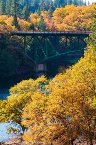 A vertical composition of the Highway 89 bridge over Lake Britton in Shasta County, Northern California, framed by vivid golden and orange autumn foliage. The green steel bridge contrasts beautifully against the surrounding forest and calm reflective water, photographed near the historic *Stand By Me* rail bridge location.