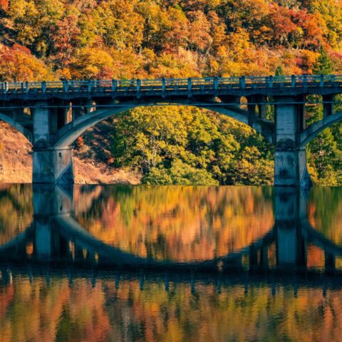 Pit 3 Autumn The center span of the Pit 3 Bridge over Lake Britton in Shasta County, California, framed against a hillside blanketed in vivid autumn foliage. The bridge’s concrete arch and railing are reflected in the calm, glassy water below, creating a nearly perfect mirror image of color and structure.