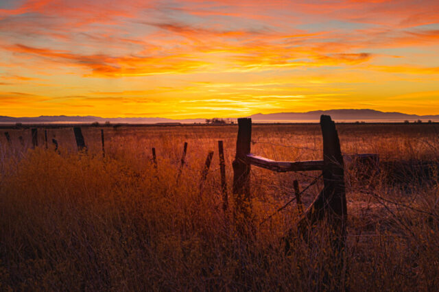 Sunrise on the Ranch Warm, glowing sunrise photograph taken on a frosty November morning at a ranch in Lassen County, Northern California. The scene features rustic wooden fence posts and frost-kissed dry grass in the foreground, leading the viewer’s eye toward a radiant horizon painted in gold, orange, and magenta tones. The cold air and 14°F temperature lend crisp clarity to the light, enhancing the textures of the weathered wood and the subtle shimmer of frost. This fine art landscape captures the quiet beauty of rural California at daybreak, where the warmth of dawn contrasts against the chill of an early winter morning.