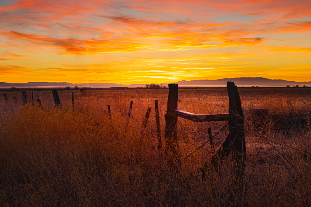 Warm, glowing sunrise photograph taken on a frosty November morning at a ranch in Lassen County, Northern California. The scene features rustic wooden fence posts and frost-kissed dry grass in the foreground, leading the viewer’s eye toward a radiant horizon painted in gold, orange, and magenta tones. The cold air and 14°F temperature lend crisp clarity to the light, enhancing the textures of the weathered wood and the subtle shimmer of frost. This fine art landscape captures the quiet beauty of rural California at daybreak, where the warmth of dawn contrasts against the chill of an early winter morning.