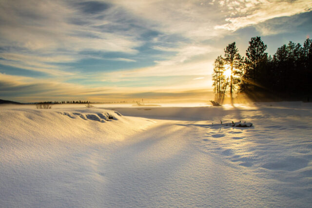 Golden hour winter landscape at McCoy Flat Reservoir in Lassen County, California, with sunlight streaming through a stand of pine trees onto a snow-covered field. Warm rays cut through mist and low fog drifting across the frozen ground, illuminating smooth, untouched snow and creating a glowing haze under a partly cloudy sky. The scene captures the quiet beauty of light meeting fog in the high-elevation winter air.