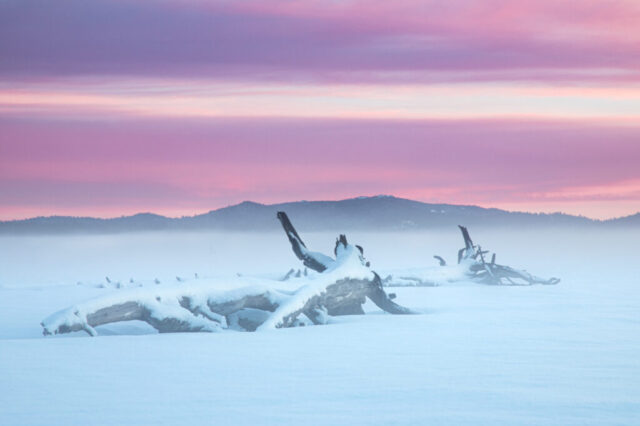 Long-exposure sunset photograph of a lone pine tree standing in a snowy field at Hog Flat Reservoir in Lassen County, California. The sky bursts with streaks of vibrant orange, pink, and blue clouds sweeping across the frame, radiating motion above the silhouetted tree. The snow-covered ground reflects the warm glow of the setting sun, creating a dynamic yet tranquil winter landscape.