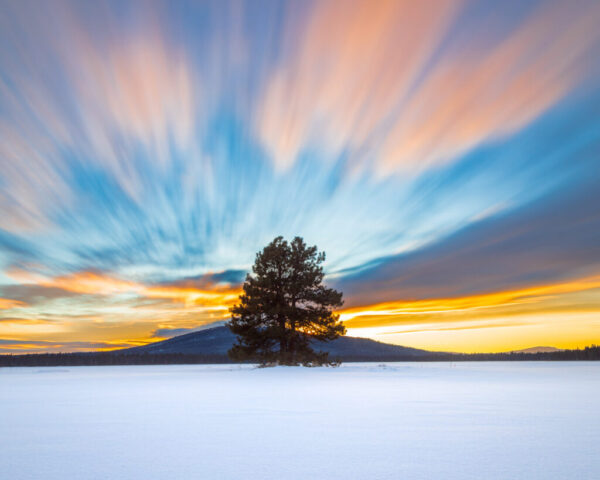 Long-exposure sunset photograph of a lone pine tree standing in a snowy field at Hog Flat Reservoir in Lassen County, California. The sky bursts with streaks of vibrant orange, pink, and blue clouds sweeping across the frame, radiating motion above the silhouetted tree. The snow-covered ground reflects the warm glow of the setting sun, creating a dynamic yet tranquil winter landscape.