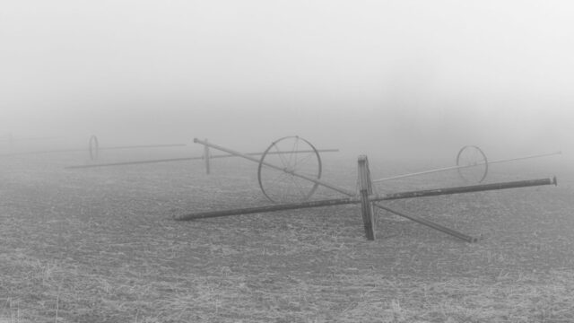 Wheel Lines on Winter Break A minimalist black and white photograph of irrigation wheel lines resting in a quiet field on a foggy winter morning in Lassen County, California. The wide 16:9 composition emphasizes the horizontal flow of the landscape, with the circular forms of the wheels fading gently into the dense mist. The subdued tones and soft light create a calm, almost ethereal mood—an agricultural landscape paused in its off-season slumber. This image captures both the geometry and solitude of rural life during the stillness of winter on the northern California high plains.