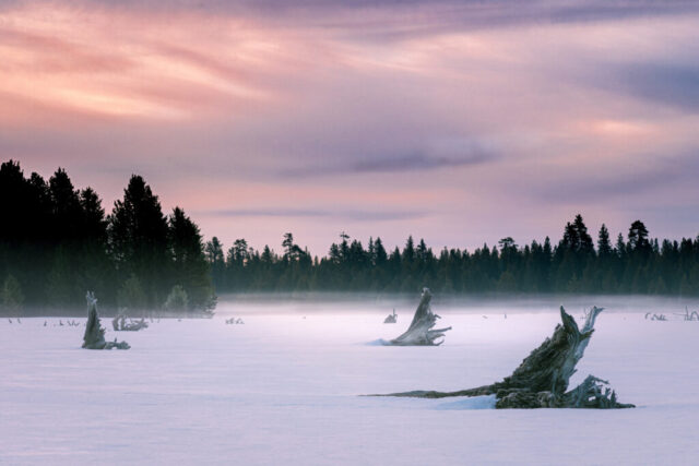 Pastel-colored sunrise over a frozen landscape at McCoy Flat Reservoir in Lassen County, California. Wisps of fog drift across the snow-covered ground, where frost-coated driftwood and tree stumps emerge from the icy surface. In the distance, a line of dark evergreen trees contrasts with the soft pinks, purples, and blues of the dawn sky. The scene conveys a sense of quiet isolation and beauty on a frigid March morning.