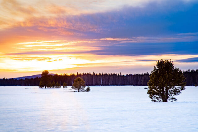 Hog Flat Sunset Vivid winter sunset photograph of Hog Flat Reservoir in Lassen County, California, taken in early March 2021. The scene glows with brilliant gold, orange, and violet tones as the setting sun ignites the sky above the snow-covered meadow. A sparse line of pine trees stretches across the frame, guiding the viewer’s eye toward the fiery horizon while their dark silhouettes contrast with the luminous snow. Captured at nearly 6000 feet elevation, this fine art image highlights the reflective beauty of a high-country landscape touched by drought yet radiant in evening light—where history, resilience, and natural splendor meet at day’s end.