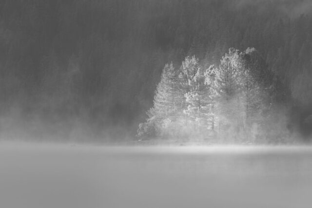 Atmospheric black and white landscape photograph of a small wooded island on Antelope Lake in Plumas County, California, softly illuminated by early morning light. Thick fog drifts across the calm lake surface, partially veiling the surrounding forest while sunlight gently highlights the pines on the island, creating a glowing focal point amid the mist. Captured during an early June cold snap locals call “Junuary,” this fine art monochrome image conveys mood, depth, and serenity, showcasing the ethereal beauty of fog and light in Northern California’s high-country wilderness.
