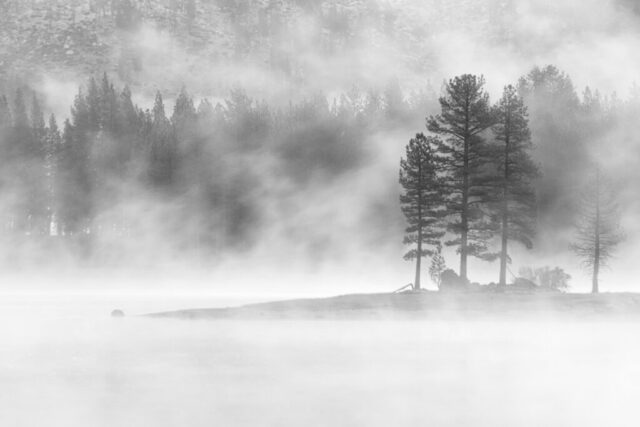 Moody black and white landscape photograph of dawn at Antelope Lake in Plumas County, California, where fog drifts softly through tall pine trees on the shoreline. The lingering chill of an early June cold front meets the warming lake surface, creating layers of mist that blur the boundary between forest and water. Subtle sunlight filters through the haze, lending a dreamlike glow to the tranquil scene. With its delicate tonal range and intentionally soft focus, this fine art image captures the quiet, ethereal beauty of a “Junuary” morning in Northern California’s high country.