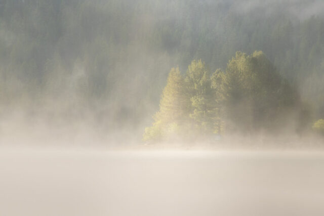 Soft, ethereal morning light illuminates a small island of pines through dense fog on Antelope Lake in Plumas County, California. Captured during the early June “Junuary” cold snap, this tranquil scene shows the striking contrast between warm lake waters and frigid mountain air, creating atmospheric mist that drifts gently across the surface. The rising sun bathes the trees in a golden glow while the surrounding forest fades into muted tones, evoking calm and introspection. This fine art landscape photograph beautifully captures the fleeting magic of dawn in Northern California’s high country.