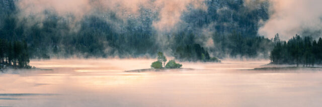 Panoramic landscape photograph of Antelope Lake in Plumas County, California, captured on a foggy June morning after a cold front passed through. The warm surface of the lake steams against the chill air, creating thick golden fog and low drifting clouds that glow in soft sunrise light. A small forested island sits in the mist, its pine trees reflected faintly in the calm water, while subtle light rays break through from the right. A mule deer doe can be seen on the left edge of the island, adding a quiet, wild touch to this ethereal lakescape. A serene and atmospheric fine art photo evoking the peaceful beauty of Northern California’s mountain lakes at dawn.