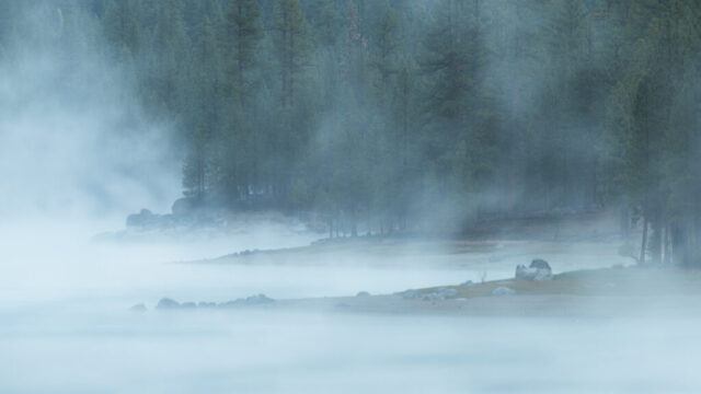 Atmospheric early morning photograph of Antelope Lake in Plumas County, California, taken during the region’s annual “Junuary” cold snap. Thick fog rolls across the water as warm lake temperatures meet frigid mountain air, creating layered veils of mist around rocky points and pine forests along the shoreline. Captured at 5AM with a telephoto lens, the scene is compressed into a moody, dreamlike composition that highlights the interplay of light, texture, and depth. This fine art landscape image beautifully conveys the quiet, mysterious charm of Northern California’s high-country lakes at dawn.
