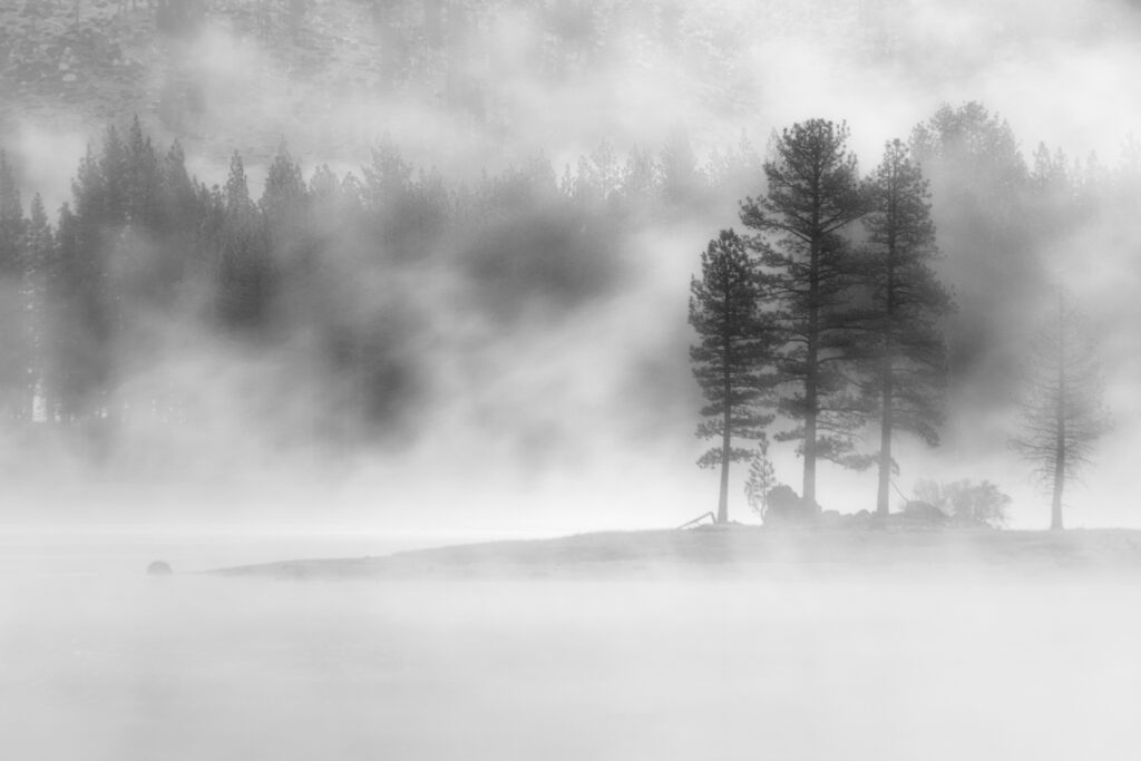 Black and white fine art photograph of a foggy morning at Antelope Lake in Plumas County, Northern California. Captured in early June during one of those classic “Junuary” cold fronts, the image portrays a stand of pine trees emerging through drifting mist as warm lake air meets the lingering chill of dawn. Soft light filters through layers of fog, creating a mysterious, ethereal atmosphere that blurs the line between land and sky. The subtle monochrome tones and gentle post-process blur evoke a sense of solitude, serenity, and timeless stillness — perfectly capturing the moody calm of a mountain lake at daybreak.
