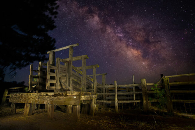 Chuting Stars Nightscape photograph titled “Chuting Stars,” featuring an old wooden cattle loading chute beneath the glowing core of the Milky Way in Lassen County, California. The rustic timbers and weathered boards of the chute are illuminated with warm, subtle light painting, their angular lines leading the eye upward toward the brilliant galactic band stretching across the night sky. Rich hues of violet, gold, and deep indigo highlight the Milky Way’s dense star fields and dust lanes, creating a striking contrast with the earthy textures of the foreground. This long-exposure image captures the meeting of rugged ranching heritage and the infinite beauty of the cosmos in rural Northern California.