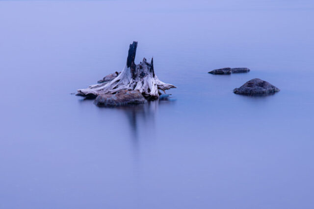 Minimalist landscape photograph of a weathered tree stump and scattered stones emerging from the still surface of Blue Lake in Lassen County, California. Captured during blue hour with a long exposure, the glassy water and soft twilight tones create a serene, almost ethereal atmosphere. Subtle hues of violet and blue mingle with faint traces of wildfire smoke, lending a painterly calm to the scene. This fine art image celebrates simplicity and solitude, evoking the quiet beauty of Northern California’s high mountain lakes at dusk.