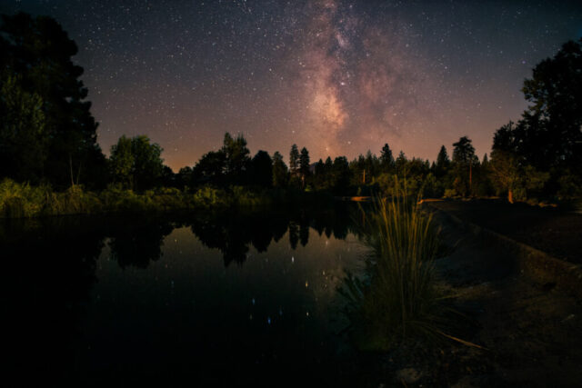 Cassel Ditch at Night Nightscape photograph of the Cassel Ditch in Cassel, California, captured under a clear sky filled with countless stars and the brilliant core of the Milky Way. The calm water reflects the glow of the galactic band, mirroring the stars and surrounding trees in near-perfect stillness. Tall grasses and forest silhouettes frame the scene, softly illuminated by the faint ambient light of the night. The warm tones of the Milky Way contrast beautifully with the cool greens and deep shadows of the landscape, creating a serene composition that captures the quiet magic of Northern California’s rural night sky.