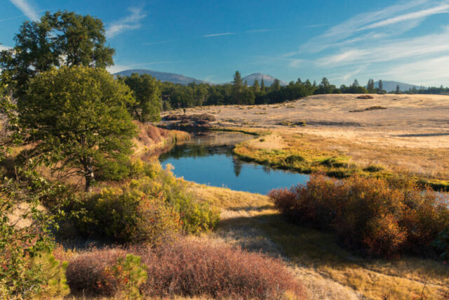 Hat Creek Autumn Vista Photograph of Hat Creek in Shasta County, California, captured on a calm early autumn morning near Cassel. The tranquil waterway winds through golden meadows and colorful foliage under a clear blue sky, reflecting the quiet beauty of Northern California’s fall season. This section of Hat Creek, renowned as a trophy trout fishery, flows gently toward its confluence with the Pit River near Lake Britton. A peaceful, reflective landscape ideal for nature enthusiasts, anglers, and anyone who appreciates the serene charm of Shasta County’s waterways and open countryside.