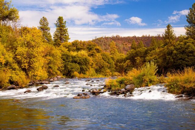 Pit River Autumn Afternoon Photograph of the Pit River in Shasta County, California, captured on an early autumn afternoon as golden hues began to emerge along the riverbanks. Sunlight breaks through passing clouds, casting a warm glow on the flowing water and surrounding foliage. The scene highlights the rugged natural beauty of Northern California’s volcanic landscape near the historic PG&E Pit 1 Powerhouse. This image embodies the spirit of the Pit River corridor—dynamic, untamed, and full of seasonal color—making it a perfect fine art piece for lovers of riverscapes and the wild charm of Shasta County.
