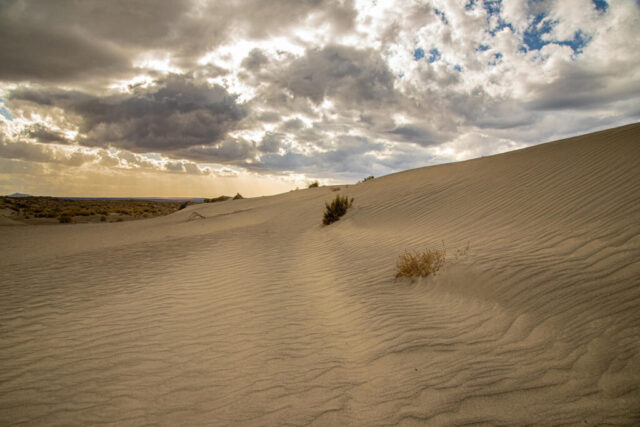 Sweeping lines and delicate ripples in the sand define this moody desert scene from the Christmas Valley Sand Dunes in Oregon’s high desert. Captured beneath a dramatic, cloud-filled sky as filtered light brushed across the dune’s edge, the image reveals the subtle interplay of tone, texture, and shadow sculpted by the wind. Sparse vegetation clings to the slopes, hinting at resilience in an otherwise stark landscape. This photograph embodies the quiet strength and raw beauty of Oregon’s desert environment—ideal for lovers of wide-open spaces, minimalist art, and the timeless patterns found in nature’s shifting sands.