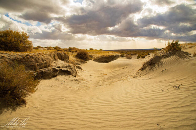 Golden light breaks through stormy clouds to illuminate wind-sculpted dunes and hardy desert shrubs in Oregon’s remote Christmas Valley. The rippled sand patterns lead the eye toward the horizon, where shifting light and shadow reveal the raw, untamed character of the high desert. Captured just after a passing storm, this image balances warmth and drama—showcasing both the harshness and quiet beauty of this windswept landscape. A perfect piece for those who appreciate solitude, texture, and the timeless artistry of nature shaped by the elements.