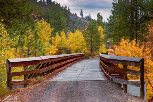 A scenic autumn view along the Bizz Johnson Trail near Susanville, California, featuring a rustic wooden bridge crossing the Susan River. The bridge is surrounded by golden-yellow and orange foliage, with green pines rising along the canyon slopes under an overcast October sky. The damp wood and rich colors reflect the freshness of a drizzly fall morning in the Susan River Canyon.