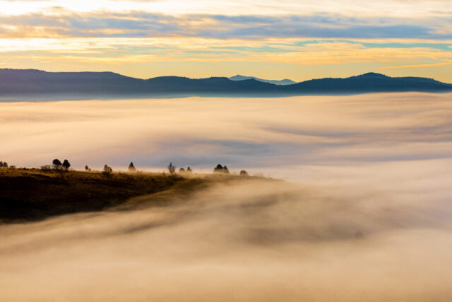 Foggy sunrise view from California State Route 139 in Lassen County, California, overlooking Willow Creek Valley blanketed in dense fog. The tops of low ridges and scattered juniper trees emerge like islands through the mist, illuminated by warm golden morning light. Above, soft layers of clouds stretch across a pastel sky of blue, gold, and gray, while the sun’s glow highlights the delicate textures of the fog drifting across the valley.