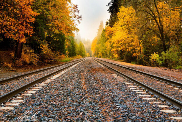 Misty autumn morning along railroad tracks near Soda Creek Road in Shasta County, California. The twin rails stretch into the distance through a forest corridor lined with vibrant orange, yellow, and green foliage. Soft fog drifts through the trees, diffusing the light and enriching the wet colors of fall, creating a tranquil and nostalgic mood in this Northern California mountain landscape.