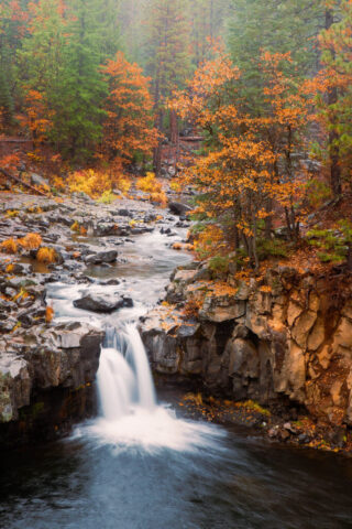 Lower McCloud Falls in Autumn Mist Close-up photograph of Lower McCloud Falls, also known as Fowler Falls, on the McCloud River in Siskiyou County, California. Captured on a quiet, rainy October morning, the soft light enhances the warm autumn tones of the canyon walls and golden foliage surrounding the basalt cliffs. The silky flow of water cascades into a calm pool below, framed by volcanic rock and mossy textures. This intimate composition highlights the rugged beauty and peaceful solitude of the upper McCloud River region—an ideal fine art image for those drawn to the colors and serenity of Northern California’s fall landscapes.