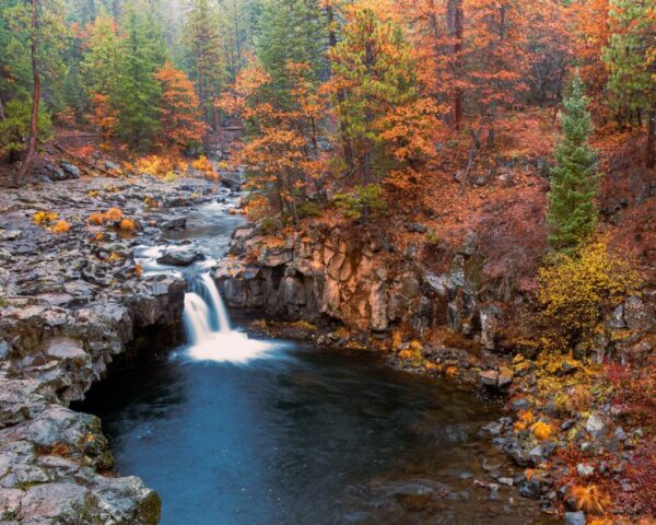 Fowler Falls in Autumn Mist Photograph of Lower McCloud Falls—also known as Fowler Falls—on the McCloud River in Siskiyou County, California. Captured on a rainy late October morning, the usually busy swimming spot was completely deserted, offering a rare moment of solitude. The autumn foliage painted the canyon walls in fiery oranges and yellows, contrasting beautifully with the cool blues of the river below. This waterfall, the final in a trio of cascades above McCloud Reservoir, flows gracefully into a deep, reflective pool surrounded by volcanic rock. A serene fall landscape that embodies the quiet beauty of Northern California’s McCloud River corridor.