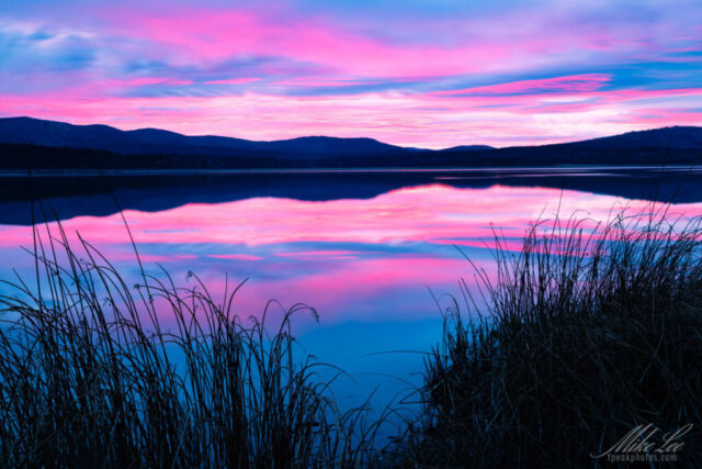 Northshore Dawn Color photograph of dawn over Eagle Lake in Lassen County, California, showing brilliant pink, purple, and blue hues reflected on the still water. Grasses in the foreground frame the calm lake, while dark hills form soft silhouettes beneath the glowing sky. Captured just before sunrise as the blue hour transitioned toward golden light, the scene radiates tranquility and balance, with mirrored clouds and pastel tones creating a peaceful early morning atmosphere.