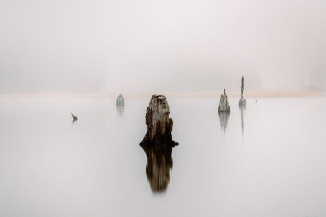 Ethereal minimalist landscape photograph of weathered tree stumps emerging from the still, fog-covered waters of Mountain Meadows Reservoir—locally known as Walker Lake—in Lassen County, California. Captured on a frigid December morning beneath a heavy blanket of freezing fog, this long-exposure image smooths the lake’s surface into a glass-like calm, enhancing the quiet, otherworldly atmosphere. The ghostly silhouettes of trees and distant shoreline fade softly into the mist, conveying solitude, peace, and timeless beauty. A serene fine art image that embodies the tranquil spirit of Northern California’s winter wilderness.