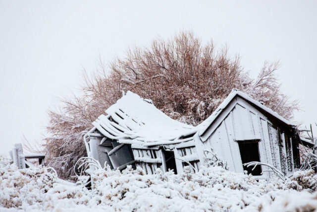 Sagging With Age A weathered old cabin on ranch land in Lassen County, California, leans under the weight of age and a fresh dusting of snow. The sagging roof and warped boards tell decades of stories from the high-desert landscape, while the light snow adds soft contrast against the dense brush rising behind it. Captured on a calm winter morning, the scene conveys both fragility and resilience—an enduring relic of rural life standing quietly against time and weather. This image preserves the beauty of decay and the fleeting grace of a structure nearing the end of its long watch over the land.