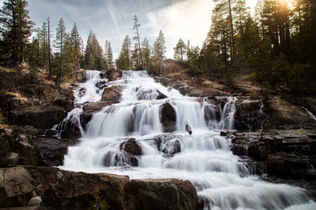 Lower Glen Alpine Falls Late afternoon photograph of Lower Glen Alpine Falls near Fallen Leaf Lake in Eldorado County, California, showcasing the waterfall at peak summer flow. The wide, 75-foot cascade tumbles over rugged granite steps surrounded by towering pines of the Sierra Nevada, with golden sunlight filtering through the trees as day fades. Captured near South Lake Tahoe, this image highlights the raw beauty and power of Glen Alpine Creek in motion—its layered rock formations, whitewater texture, and serene forest backdrop combining for a timeless mountain landscape. Perfect for rustic or nature-inspired décor celebrating the splendor of Northern California waterfalls.