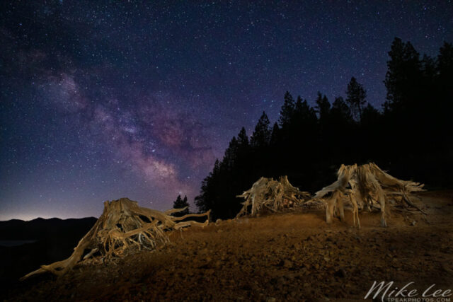 Wooden Spiders Under the Stars Nightscape photograph titled “Wooden Spiders Under the Stars,” featuring three massive tree stumps illuminated by light painting beneath the Milky Way core at Trinity Lake in Trinity County, California. Captured in June 2022 during multiple long exposures, the image blends stacked sky frames for reduced digital noise with carefully lit foreground exposures created using an LED flashlight. The twisted, root-like forms of the stumps stretch across the dry lakebed, their organic shapes resembling giant wooden creatures under the vast galactic canopy. Above, the Milky Way glows in purples and golds against a dark, crystal-clear sky, creating a vivid composition that merges celestial beauty with the rugged textures of nature reclaimed by time.