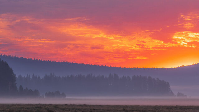 Bogard Moods Atmospheric landscape photograph of a fiery sunrise over Bogard Flats in Lassen County, California, where layers of pine forest and soft morning fog create depth beneath a blazing orange and magenta sky. Captured from a forest service road near State Route 44, this image blends warm, dramatic light with the cool mist of an unusually foggy August morning at nearly 6000 feet elevation. The composition, taken with a telephoto lens, compresses multiple tree lines into elegant layers of haze and silhouette, emphasizing the contrast between the tranquil ground fog and the intense, glowing dawn above. A fine art capture of fleeting high-country serenity and mood.