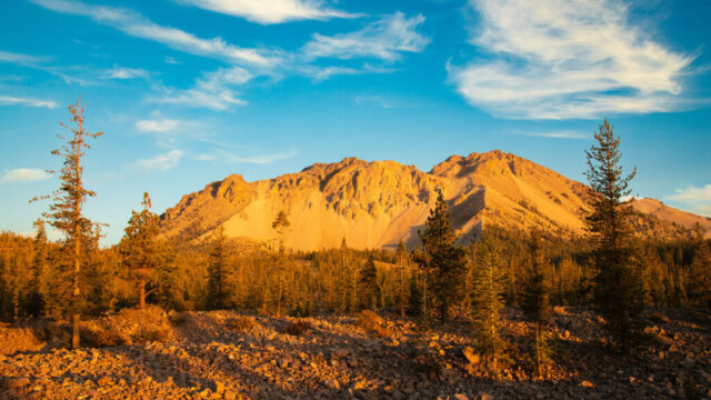 Chaos Crags in Golden Light Color photograph of Chaos Crags in Lassen Volcanic National Park, California, illuminated by the golden light of a September evening. The rugged volcanic peaks glow in rich amber tones under a vivid blue sky with soft wisps of cloud. In the foreground, scattered pines and rocky terrain reflect the same warm hues, contrasting with the deep forest below the mountain. The image captures the fleeting moment just before sunset when the landscape transforms from stark and gray to radiant and alive with color.