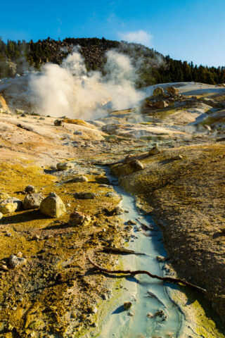 Stream and Steam Color photograph of a geothermal landscape in Bumpass Hell, Lassen Volcanic National Park, showing steam rising from active mudpots under a clear blue sky. A small stream of hot mineral-laden water winds through the foreground, its banks stained yellow, green, and orange by thermal deposits. Rocky terrain and sulfur-coated earth lead up to the steaming vents at the base of a forested hillside. The warm morning sunlight enhances the contrast between the vivid ground textures and the cool steam plumes drifting into the crisp autumn air.