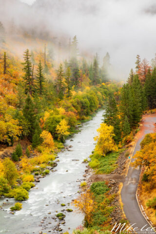Misty autumn landscape of the Pit River Canyon below Pit 3 Dam near Lake Britton in Shasta County, California. Layers of fog drift through a steep forested slope covered in evergreen pines and deciduous trees displaying orange, gold, and yellow fall foliage. The soft, diffused light creates a tranquil, ethereal mood as the morning mist mingles with the vibrant colors of Northern California’s rugged volcanic terrain.