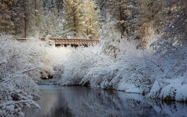 Snow-covered bridge along the Bizz Johnson Trail spans the calm waters of the Susan River in Lassen County, California. The surrounding pine forest and riverbanks are blanketed in fresh snow, their branches heavy with white. Morning sunlight filters through the trees, casting a warm golden glow on the frosted landscape and reflecting gently off the still water below. The scene captures the quiet serenity of an early winter day in the Susan River Canyon.