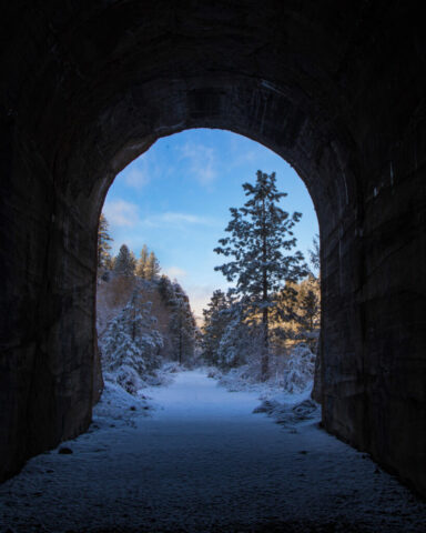 View from inside a dark, stone railroad tunnel looking out onto a snow-covered trail on the Bizz Johnson Trail in Susan River Canyon, California. The arch of the tunnel frames a bright winter landscape filled with pine trees dusted in fresh snow, their branches glowing in the soft mid-autumn morning light. The contrast between the shadowed tunnel interior and the sunlit forest beyond creates a natural vignette that draws the eye toward the serene, frosty path leading into the woods.