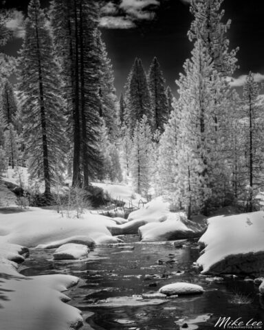 20230404_Bailey_Creek_IR_social_001 Infrared black and white photograph of Bailey Creek in Plumas County, California, captured on an early spring day using a full-spectrum camera with an 830nm deep infrared filter. The image depicts a tranquil winter-like landscape, where the creek winds through snow-covered banks beneath tall pine trees glowing with ethereal light. The stark contrasts between the bright, reflective snow and dark flowing water create a dramatic, otherworldly mood unique to infrared photography. This fine art winter scene embodies both serenity and intensity, perfect for collectors of monochrome landscapes and admirers of California’s rugged mountain beauty.