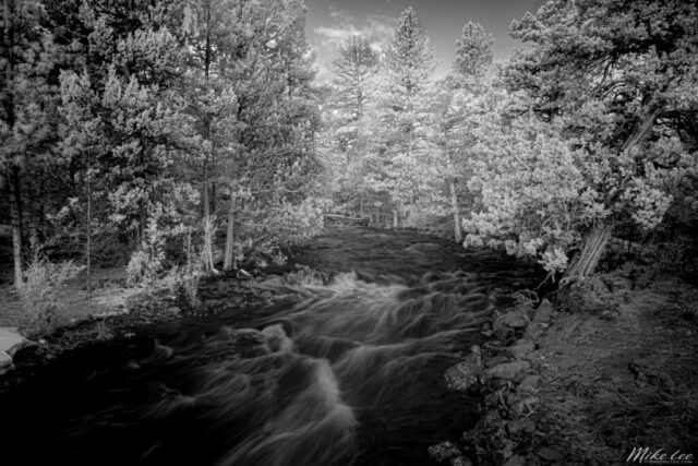 Pine Creek Infrared Infrared black and white photograph of Pine Creek in Lassen County, California, captured with an 830nm deep infrared filter just above Eagle Lake. The long exposure highlights the smooth, flowing motion of the creek as it winds through a dense forest of pines, their foliage rendered in glowing white tones against the dark, textured water. This striking tonal contrast emphasizes the surreal quality of infrared light, transforming the spring snowmelt-fed stream into an ethereal, otherworldly scene. A fine