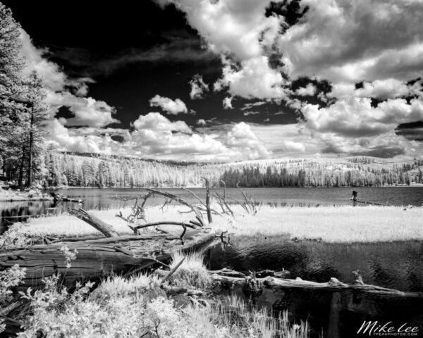 Black and white deep infrared landscape photograph of Blue Lake in Lassen County, California, captured with an 830nm filter on a full spectrum modified camera. The image shows luminous white foliage, driftwood along the shoreline, and a calm reflective lake framed by distant pine forests beneath a dramatic cloud-filled summer sky. Taken in bright midday light, the infrared rendering enhances contrast and texture, transforming this quiet mountain scene into a surreal, tranquil study in light and form.