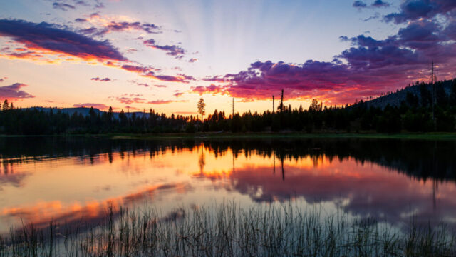 Vibrant landscape photograph of a summer sunset over Antelope Lake in Plumas County, California, captured from the Eagle Lookout Fishing Access facing toward Lost Cove. The scene glows with deep magentas, fiery oranges, and soft violet hues reflecting perfectly across the still water, framed by silhouetted pines and distant ridgelines beneath streaked, colorful clouds. Gentle ripples and foreground reeds add texture to the mirrorlike surface as the last light of day fades into evening. This fine art photograph captures the serene beauty and fleeting brilliance of a Sierra Nevada sunset, taken on the eve of the 2023 Perseid Meteor Shower under a sky alive with color and calm.