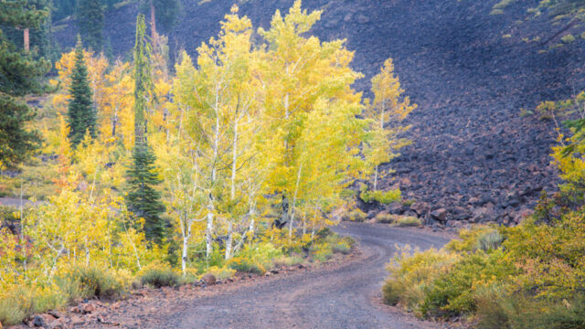 Curving mountain road lined with golden aspens and rabbitbrush in early autumn near Crater Lake in western Lassen County, California. The damp, overcast light enhances the vibrant yellows and greens of the aspen grove, contrasting sharply with the dark volcanic lava rock slope in the background. A light drizzle adds a soft sheen to the winding gravel road, evoking the quiet beauty of a high-elevation fall landscape around 7,000 feet in Northern California’s volcanic plateau.